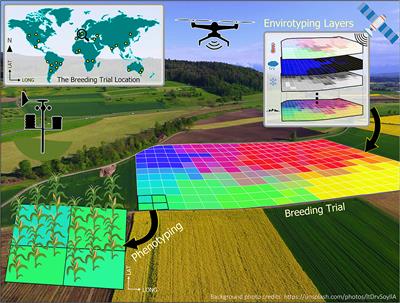 Editorial: Enviromics in Plant Breeding